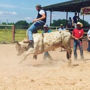 Meet your Posher, Phillip